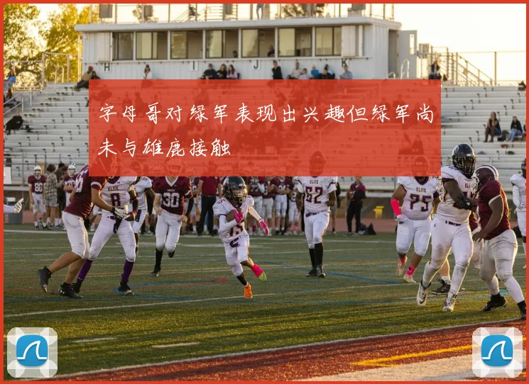 字母哥对绿军表现出兴趣但绿军尚未与雄鹿接触